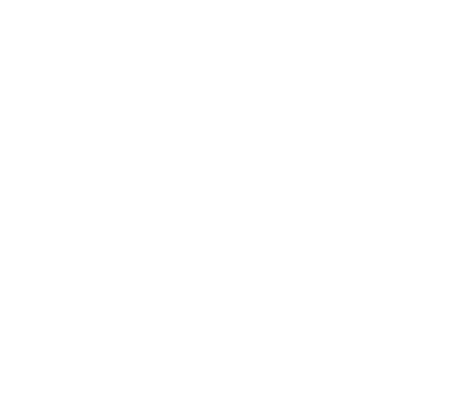 DK Monogram Lge